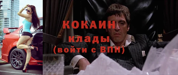 шишки Рославль