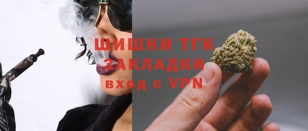 шишки Рославль