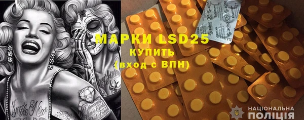 шишки Рославль