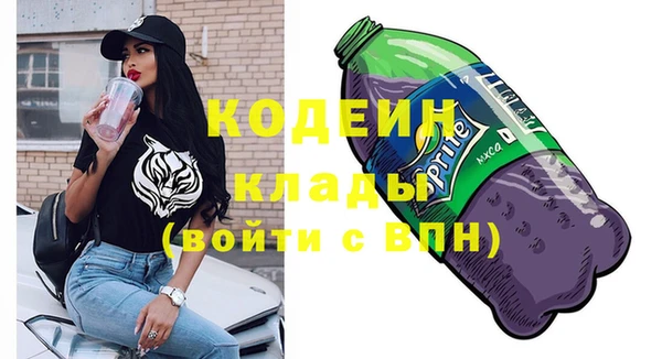 шишки Рославль